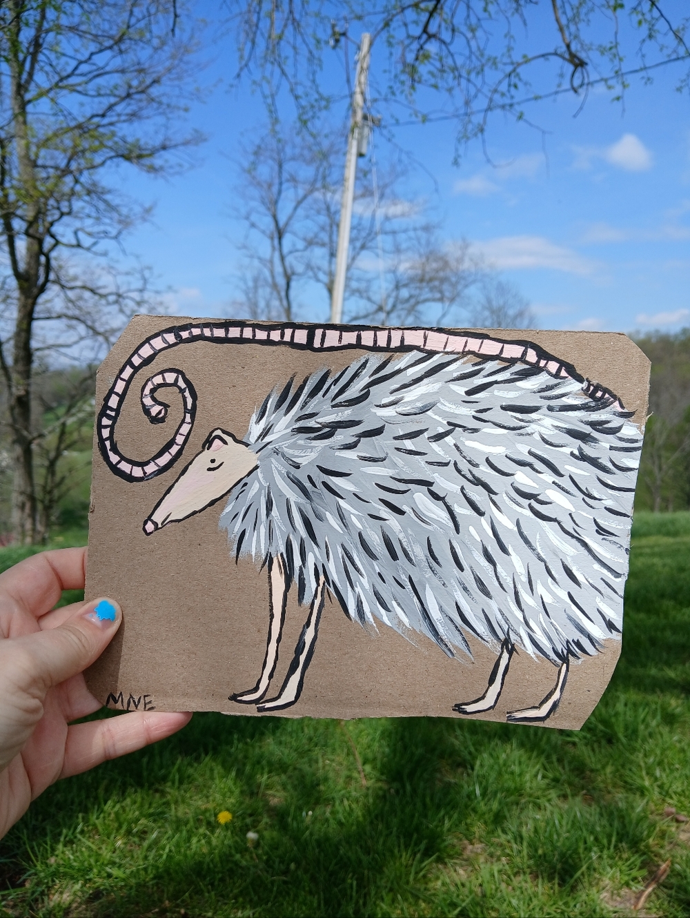 Possum Painting On Cardboard